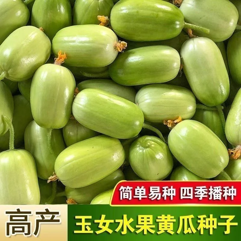 【全店任意满5包包邮】奶油玉女种子