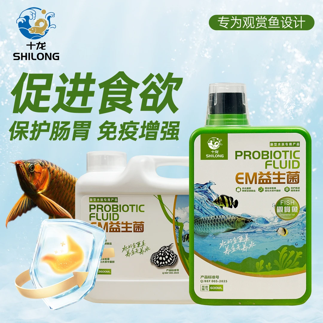 鱼用益生菌助于消化促进食欲观赏鱼龙鱼魟鱼锦鲤金鱼鱼缸益生菌