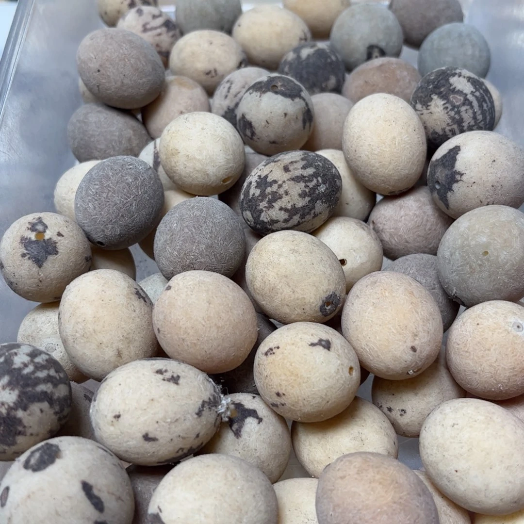 白玉菩提吊坠大卡原子12颗