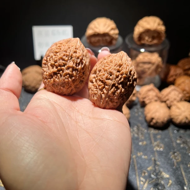 小众蒜头/宝瓶狮子头35/38/47