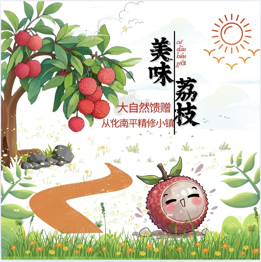 广东正宗桂味荔枝新鲜采摘现摘现发应季水果