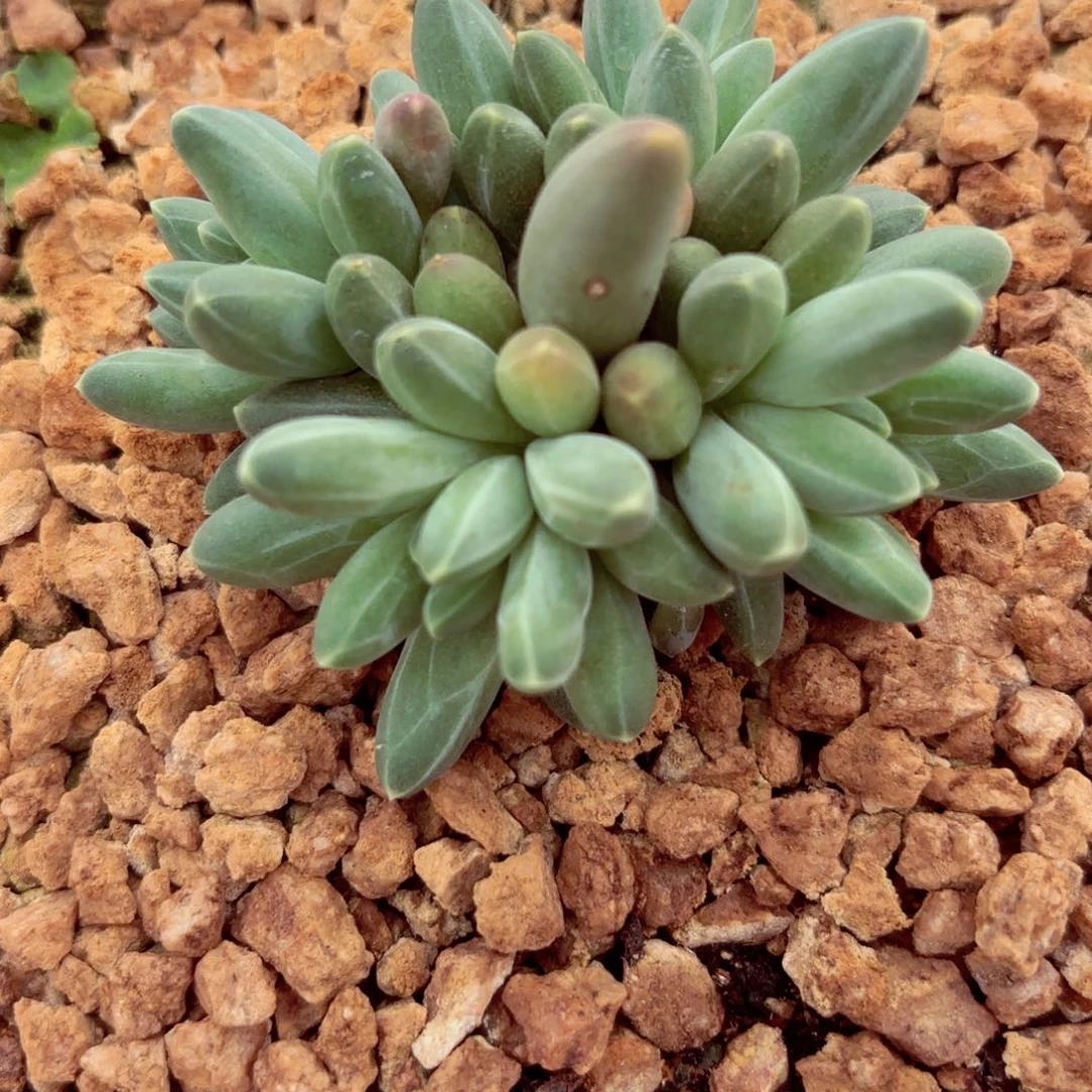 Jvbjbbnbb bnnnbbnnjjnnnb