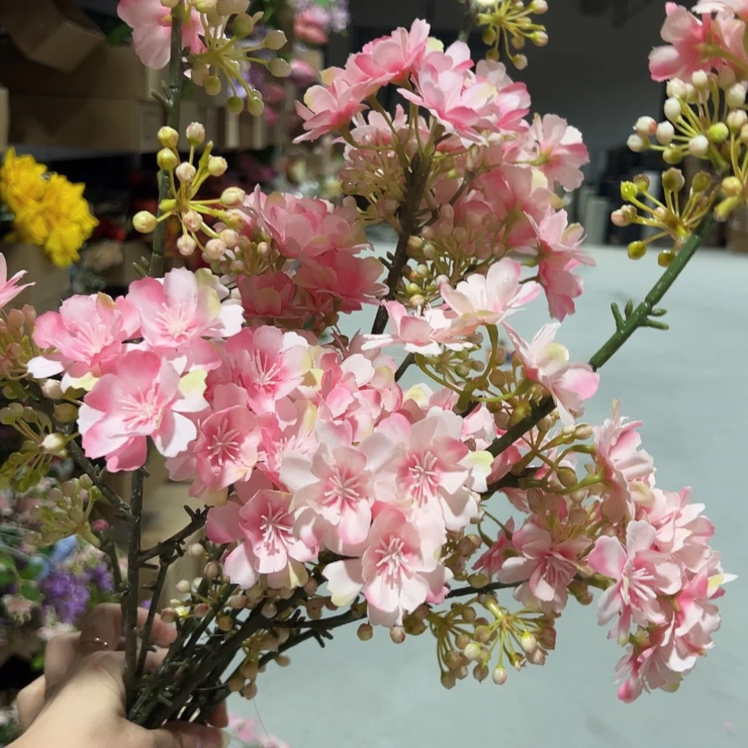 3枝孤品微瑕含笑花。