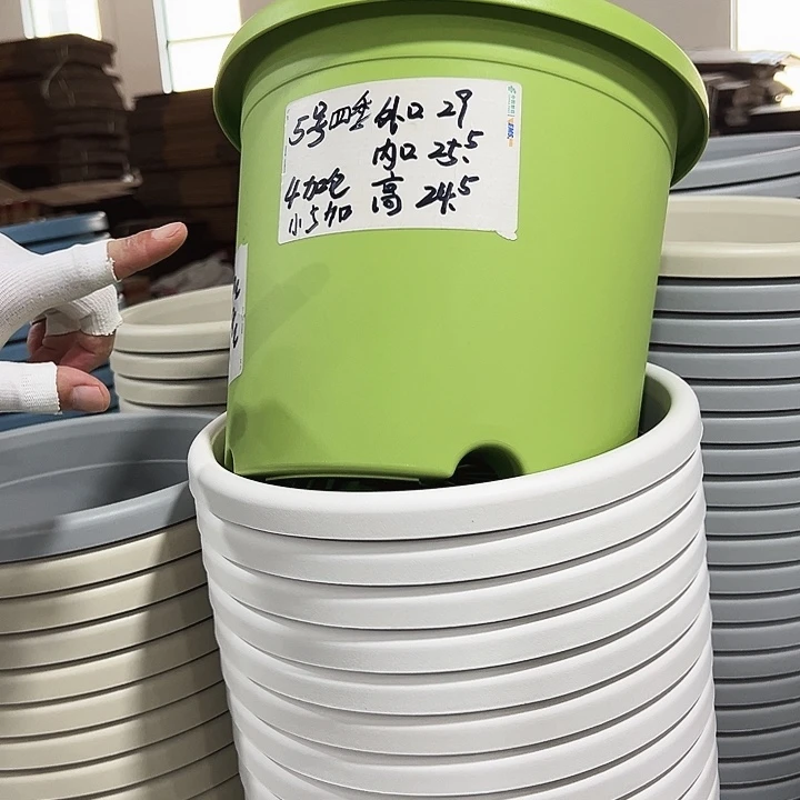 特价5号口29高24.5白色6只无托