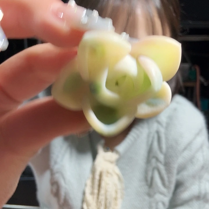 美尻一物一拍好看