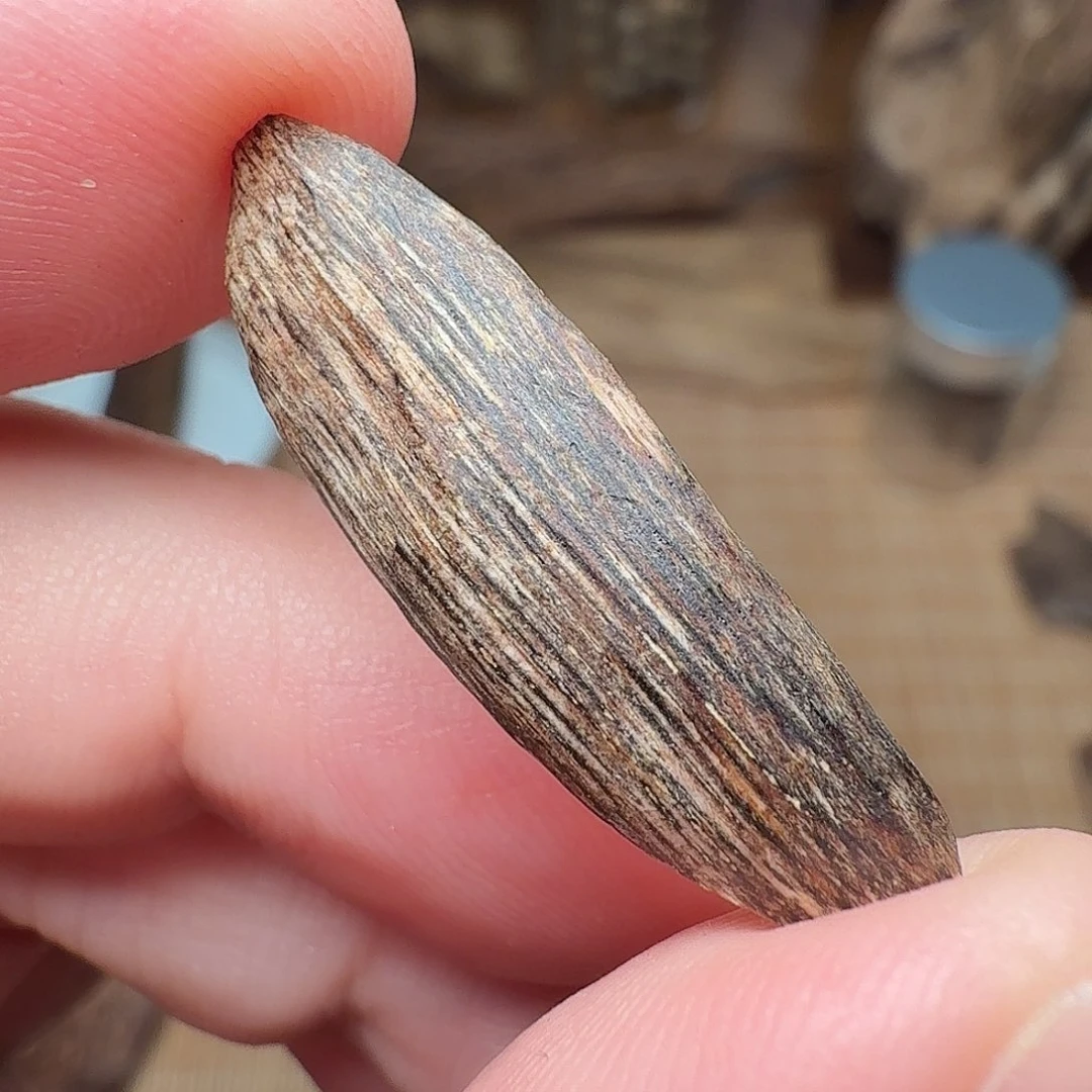 沉香惠东棋韵瓜子0.41g