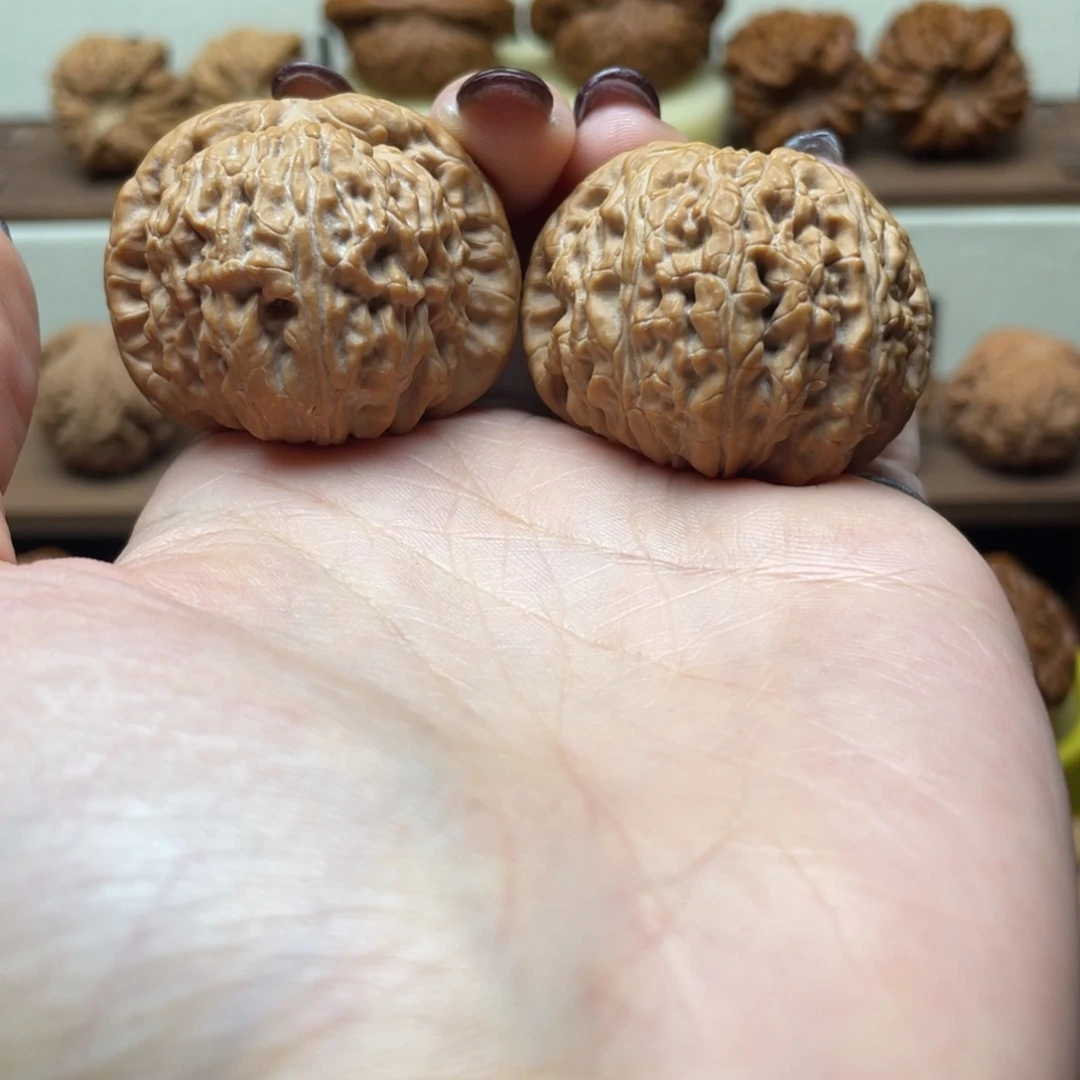 许***恙把件文玩核桃39全品白狮子