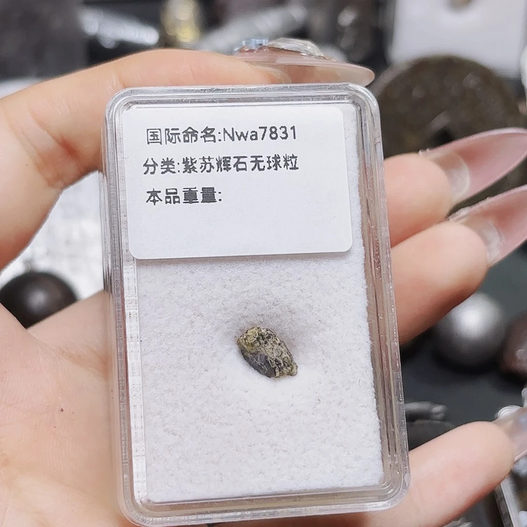 无铁合金沙**鹰紫苏辉石无球粒陨石