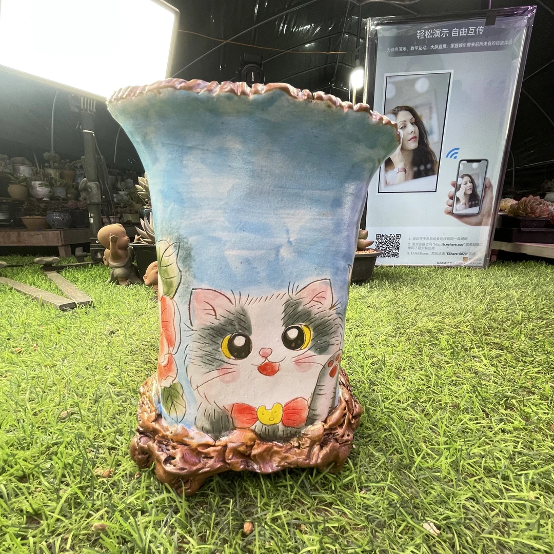 印象多肉手绘彩色举爪猫花盆