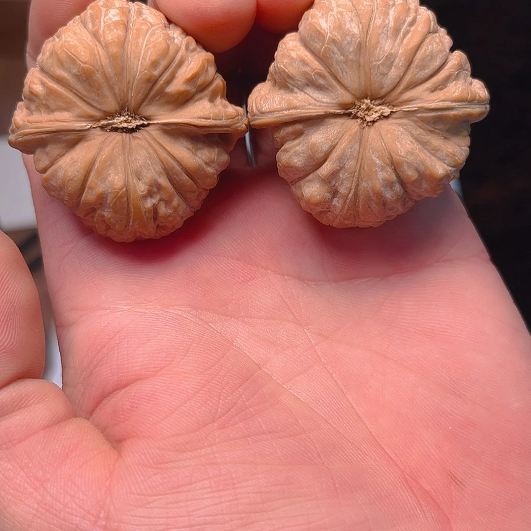 文玩核桃把件南瓜墩44