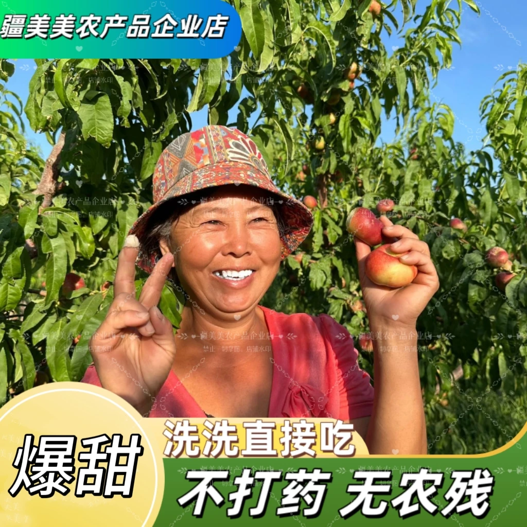 【新疆油蟠桃】新疆冰糖蟠桃 顺丰空运 果园直发  甜度25