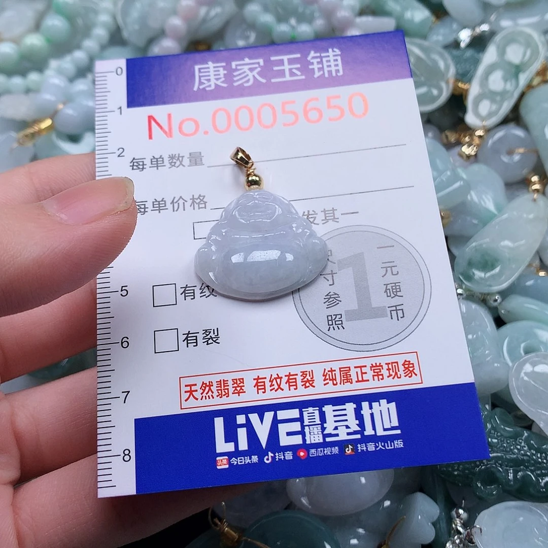 颈饰未镶嵌翡翠o