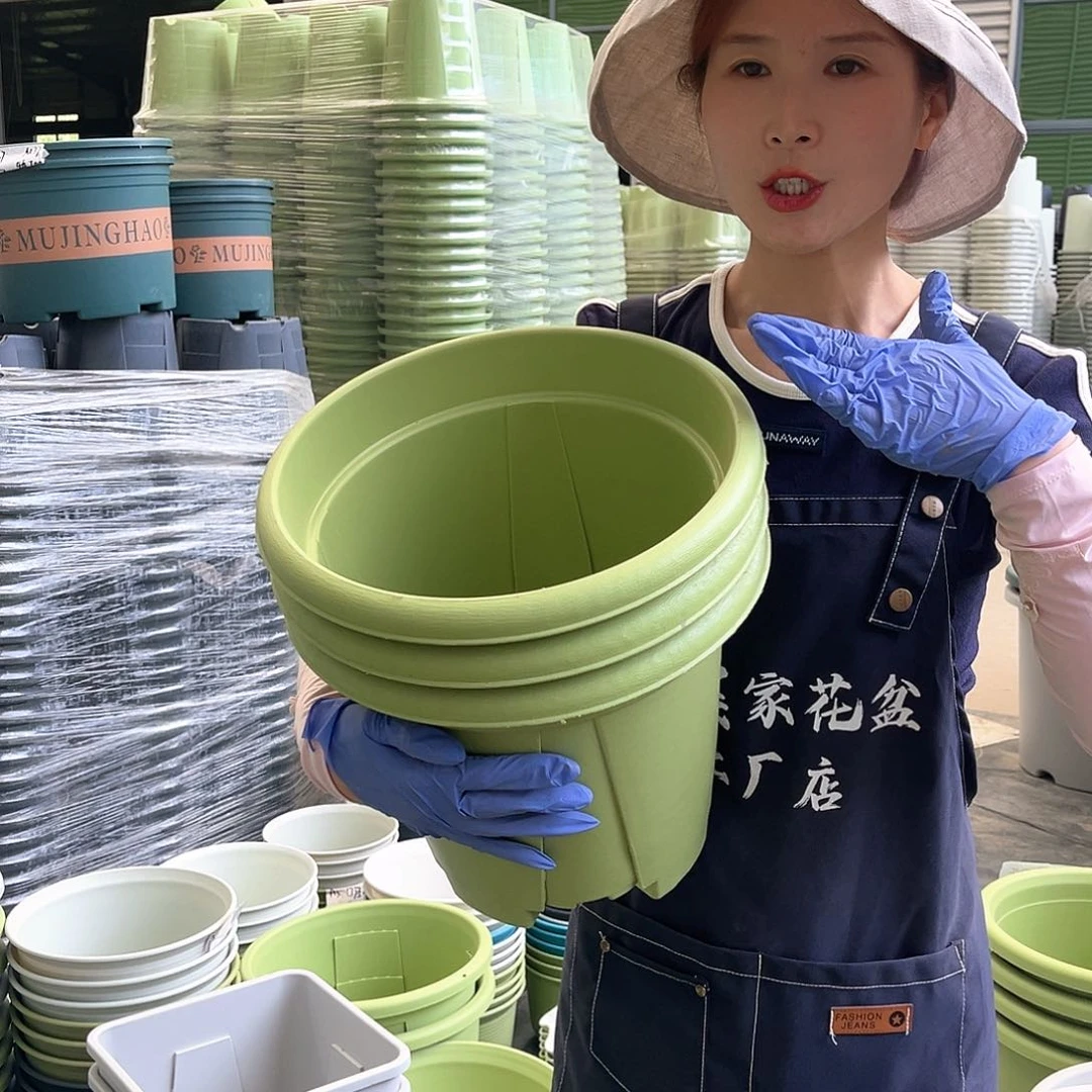 四季盆6#果绿色5个无托