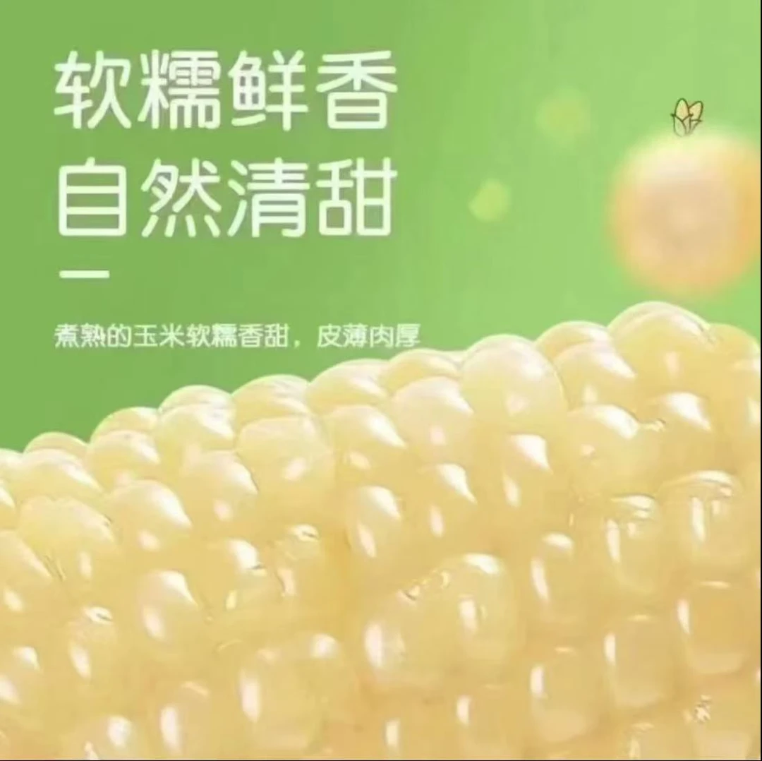 【试吃2根整箱7斤】东北新鲜香甜白糯玉米独立真空包装整箱10根