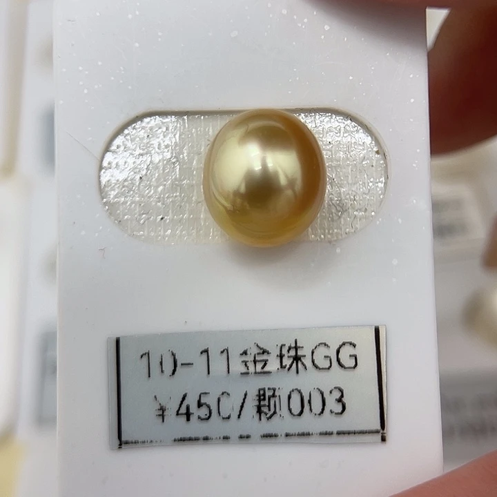 颈饰未镶嵌海水珍珠10.8mm 金珠