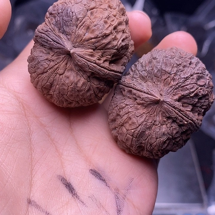 文玩核桃把件   283