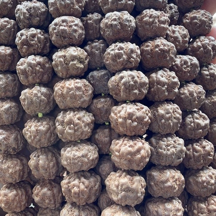 吊坠金刚菩提方印梅花11-12+