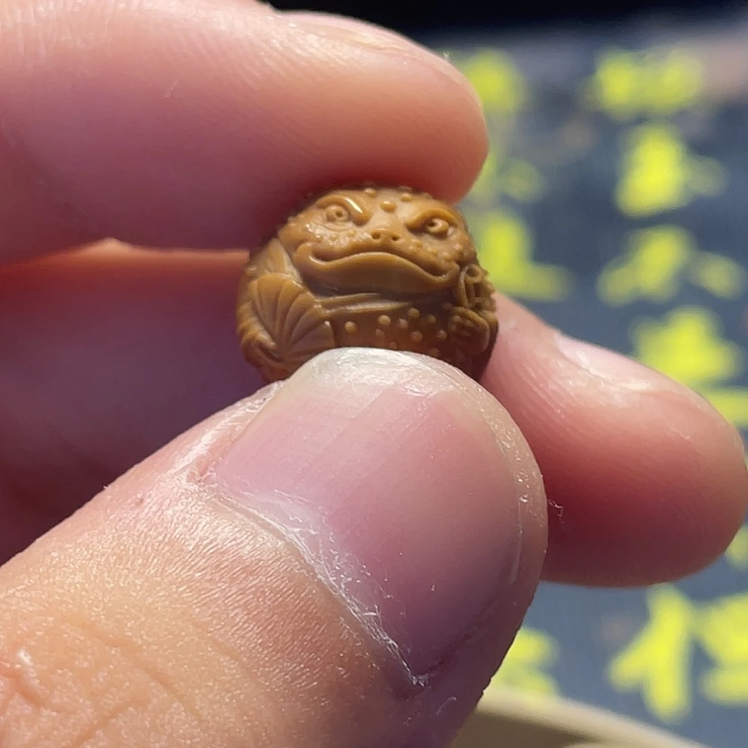 云蝉猴头，文金蟾单籽