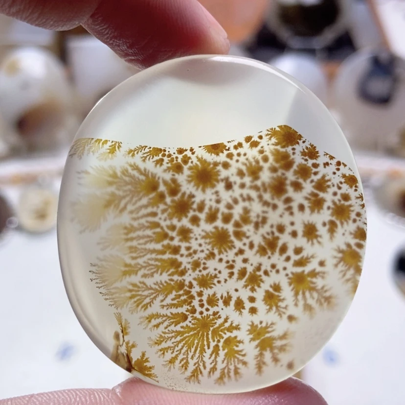 【闪购商品】玛瑙/玉髓颈饰未镶嵌