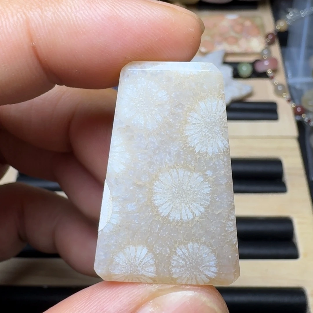 未镶嵌纯天然色有机玉石保真色硅化玉