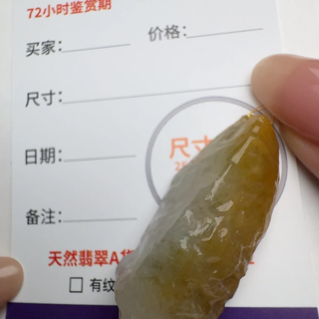 翡翠颈饰未镶嵌原石14217