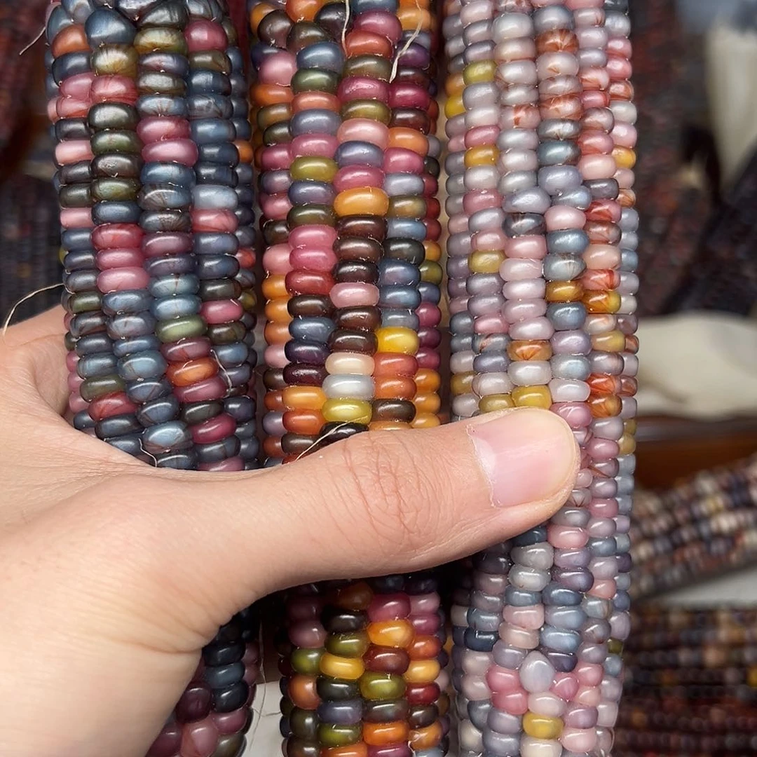 瓷*文玩玉米毛料精品