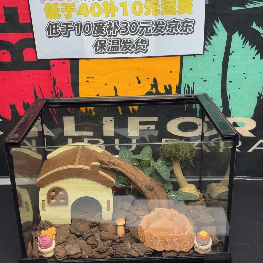 豹纹守宫造景玻璃箱