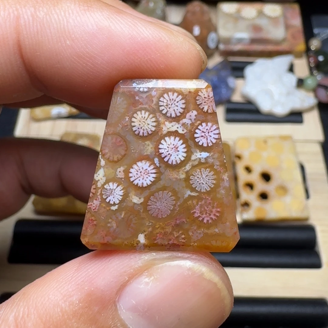 未镶嵌纯天然色有机玉石保真色硅化玉