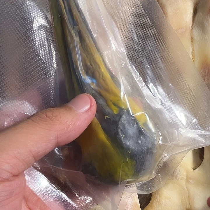 浪***子ZX能胆胆胆胆胆胆胆