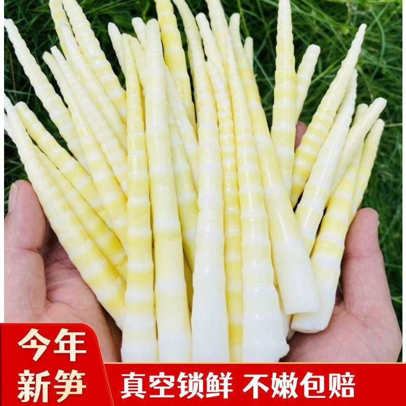 农村新鲜竹笋脆嫩笋