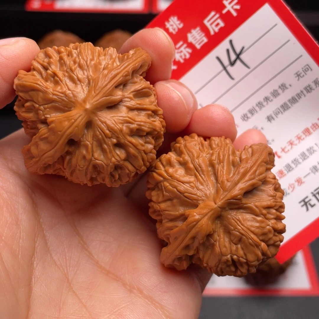 文玩核桃把件白狮子43.8尺