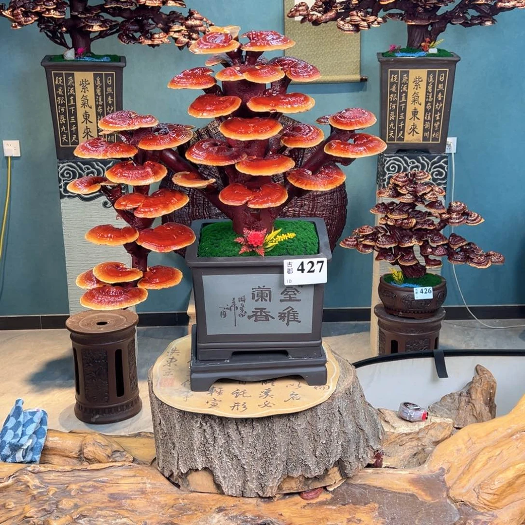鸿***世无花朵868888888898