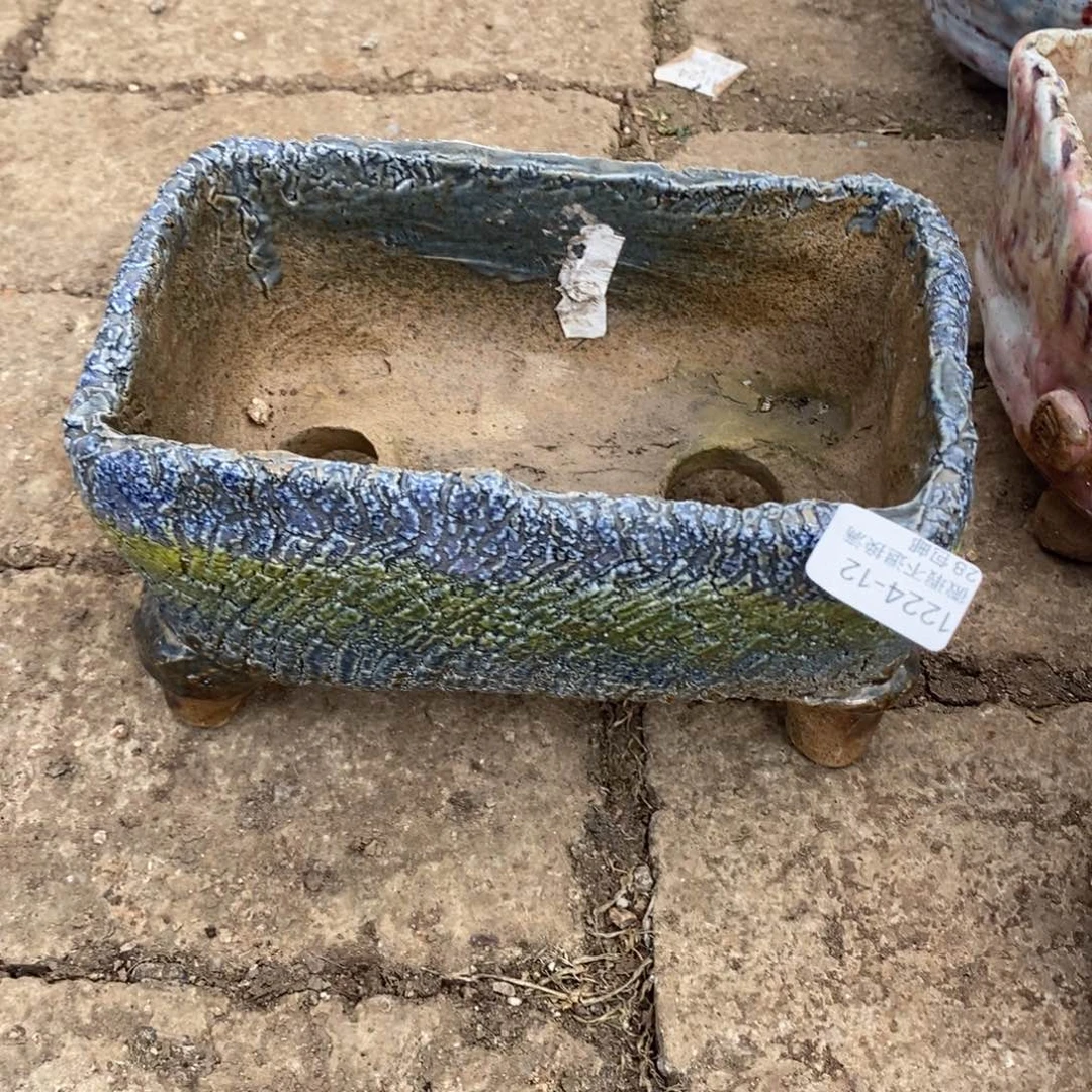 苹****12号多肉盆口径17