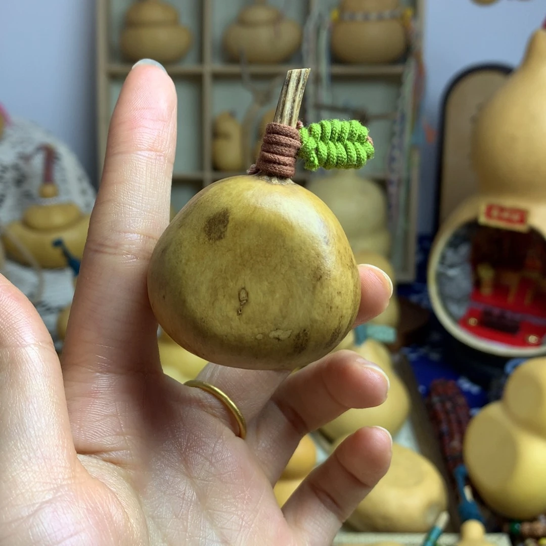 葫芦35号小梨扁扁