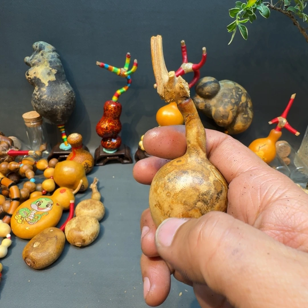 喜***我嘎嘎嘎嘎嘎嘎嘎嘎嘎