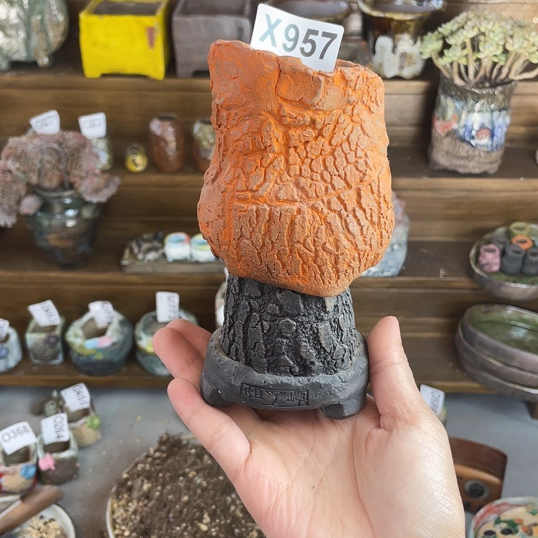 年华孤品 内口6.5外高16