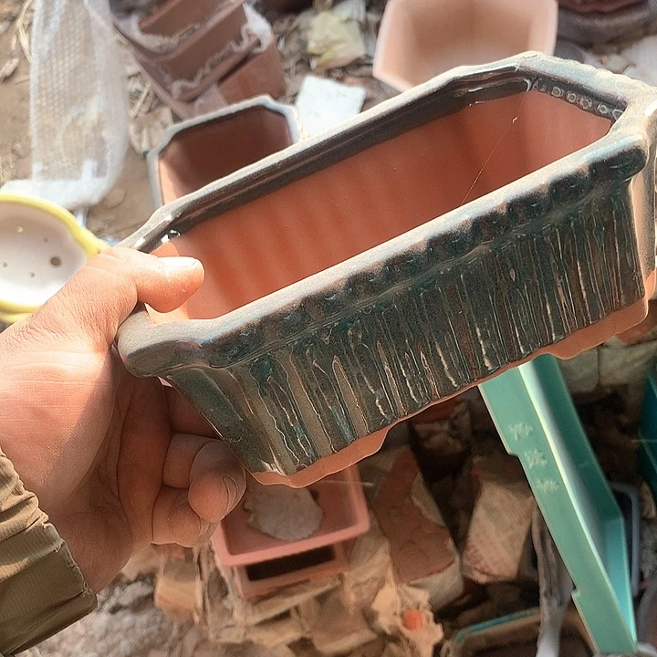 紫砂我要努力赚钱给你们一