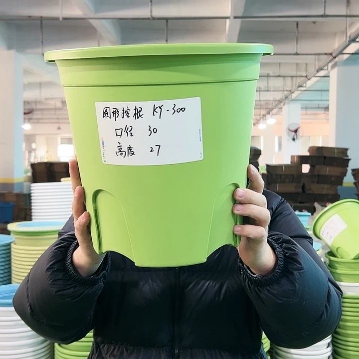 正品圆控口30高27果绿无托4只