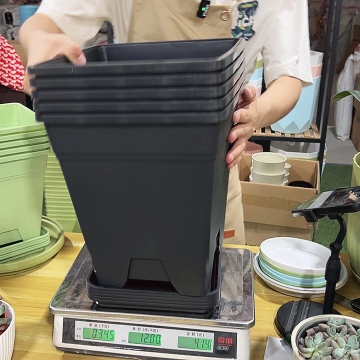 方盆260口26高28黑色带托5只