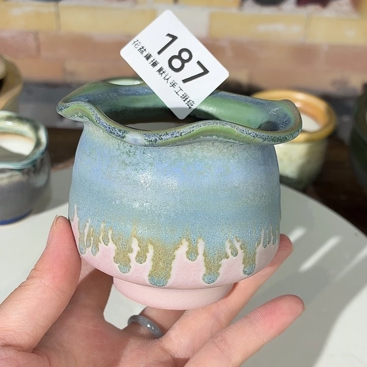 花盆花盆花盆花盆