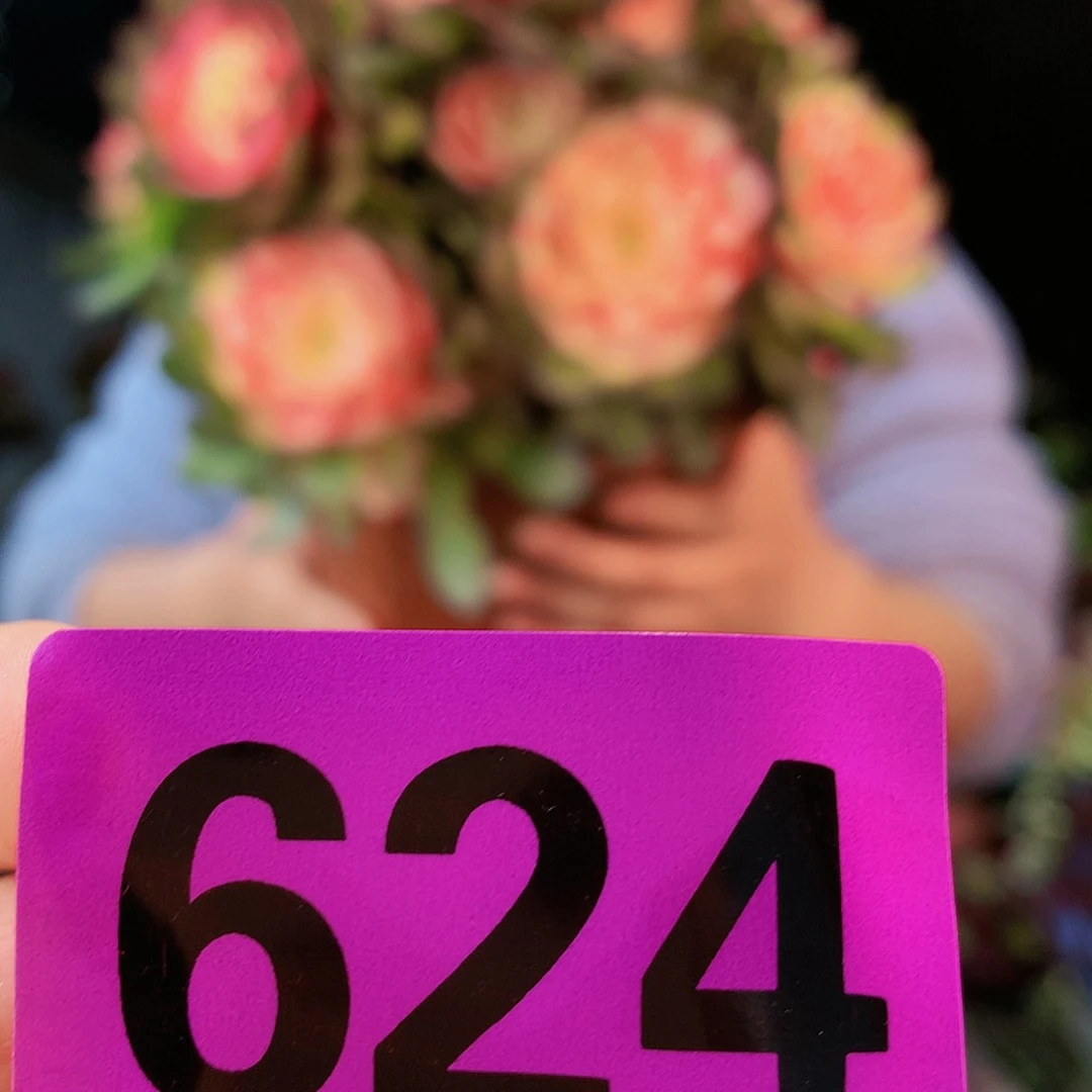 ssssssssssssssssssss624