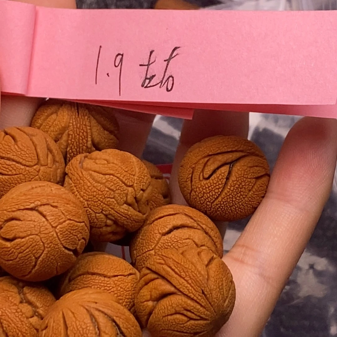 秦岭山脉龙纹桃核