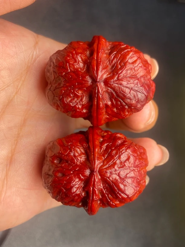 云南铁核桃 文玩核桃 39-40尺红彩方尊金蟾 发货图片同款随机一对