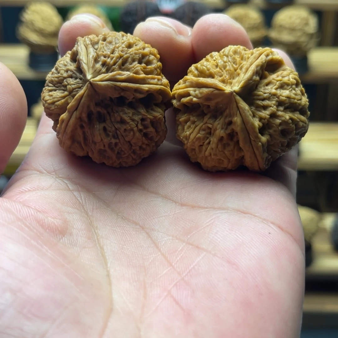 核桃38mm粗筋龙骨三棱