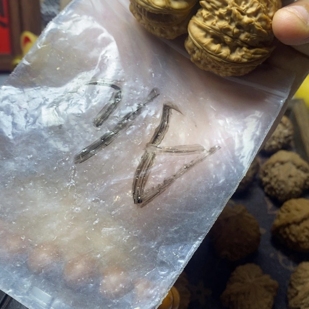 无*瑞麟文玩核桃白狮子