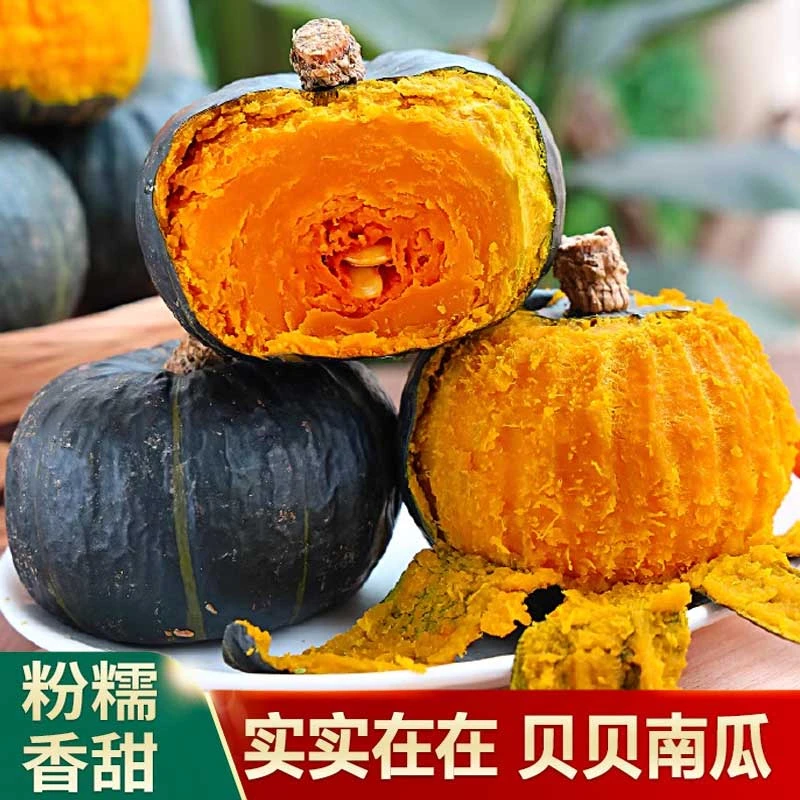 新鲜现摘正宗贝贝南瓜粉糯香甜板栗味小南瓜
