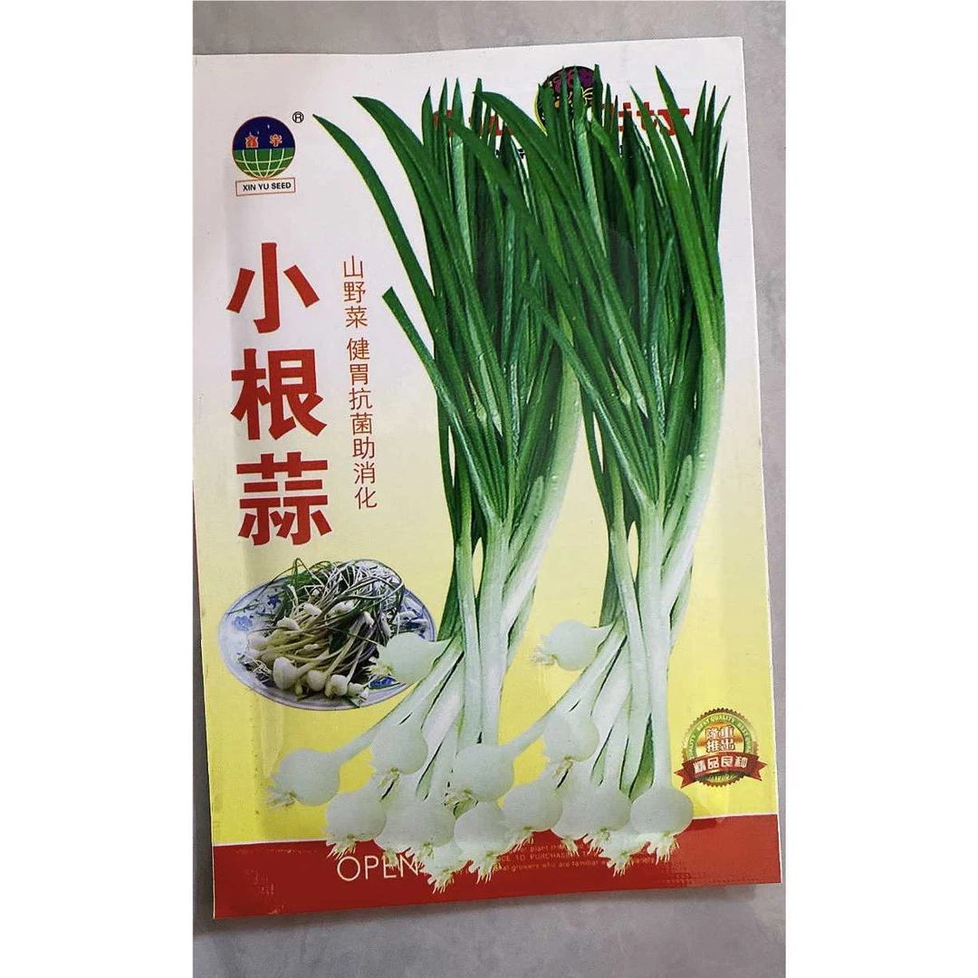 jj小根蒜籽今年新种今年新种