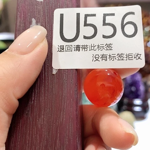 大叶紫檀（黑酸枝木类）556