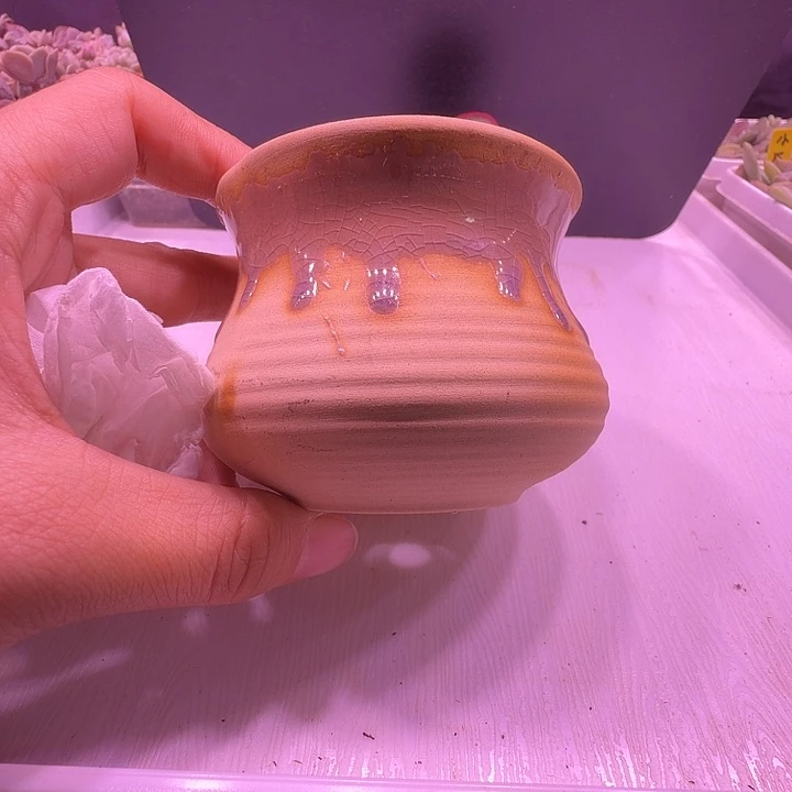 盆42，素陶流釉双拼色，闲置处理不介意的拍！