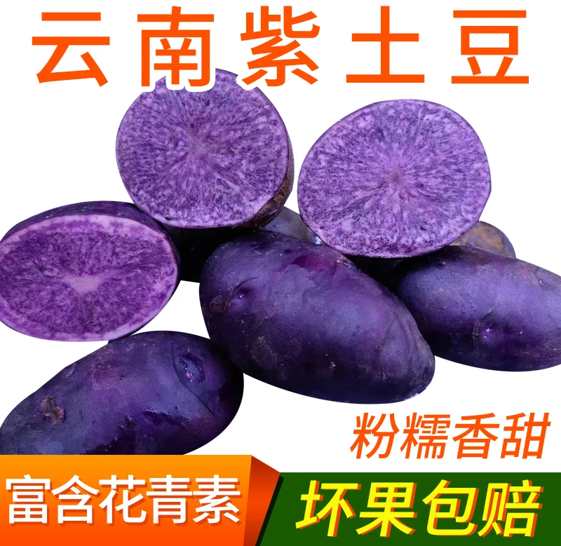 云南紫土豆新鲜马铃薯丽江紫土豆大理紫土豆黑美人黑金刚云南特产